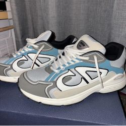 The Dior B30 'Reflective CD30 Beige Blue 