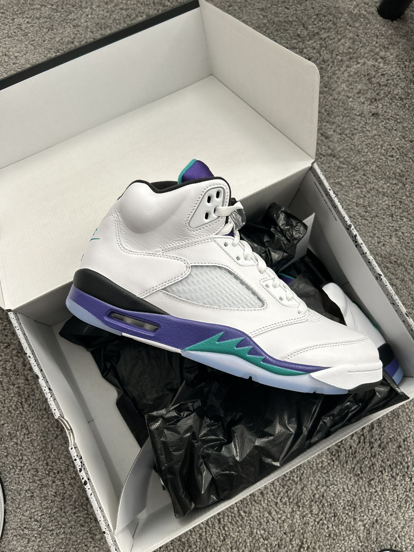 Air Jordan 5 Retro Grapes Size 11