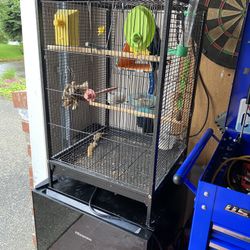 Bird Cage