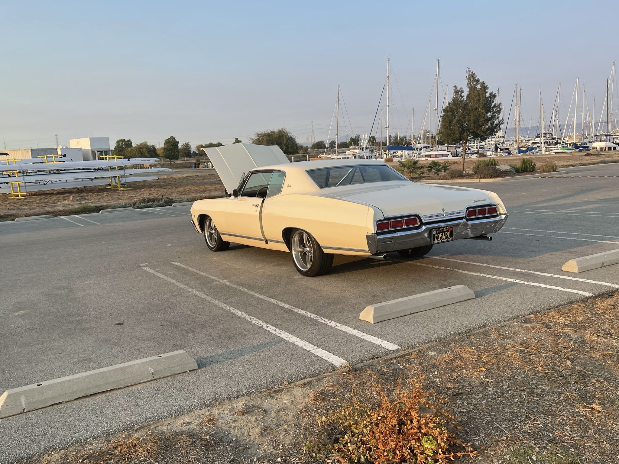 Sports Caprice