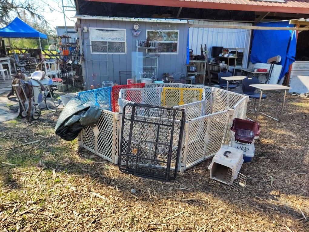 Pet Supplies - Dog, Cat, Chicken, Rabbits, Quail, Reptile, Fish, Other Small Animals