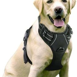 rabbitgoo Dog Harness, No-Pull Pet Harness with 2 Leash Clips, Adjustable Soft Padded Dog Vest, Reflective No-Choke Pet Oxford Vest with Easy Control 