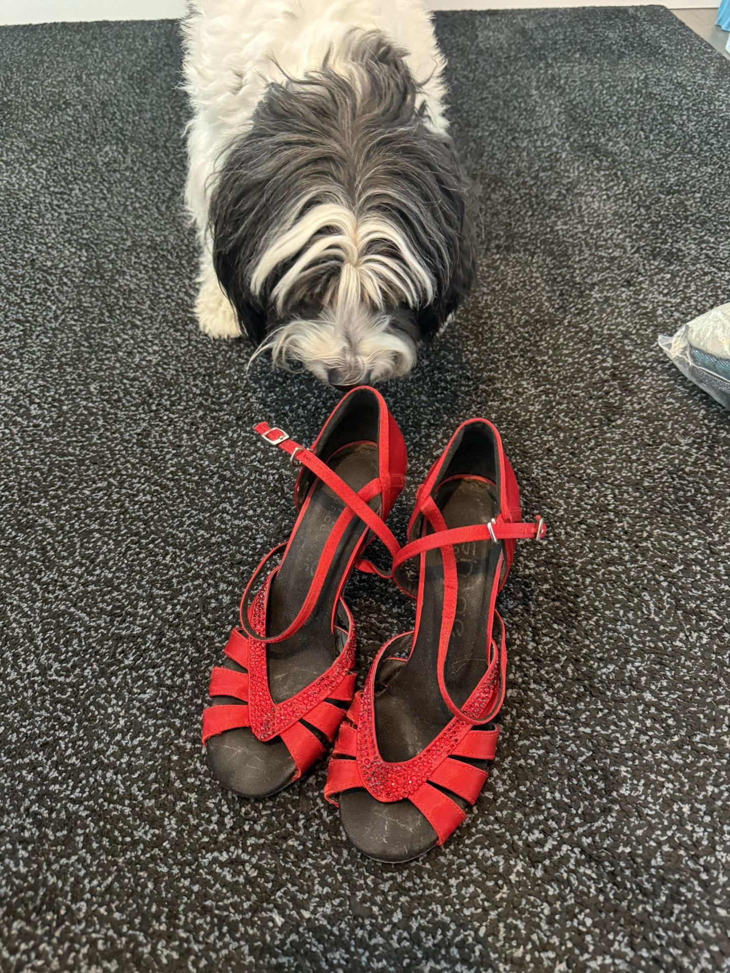 Shine Dance Shoes - Red Size 5