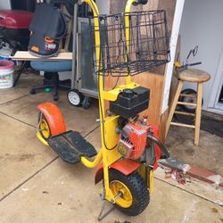 vintage Hiawatha Doodle Bug scooter,