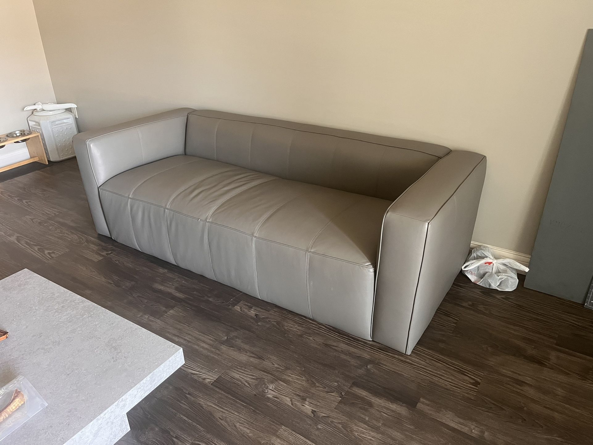 Leather Couch