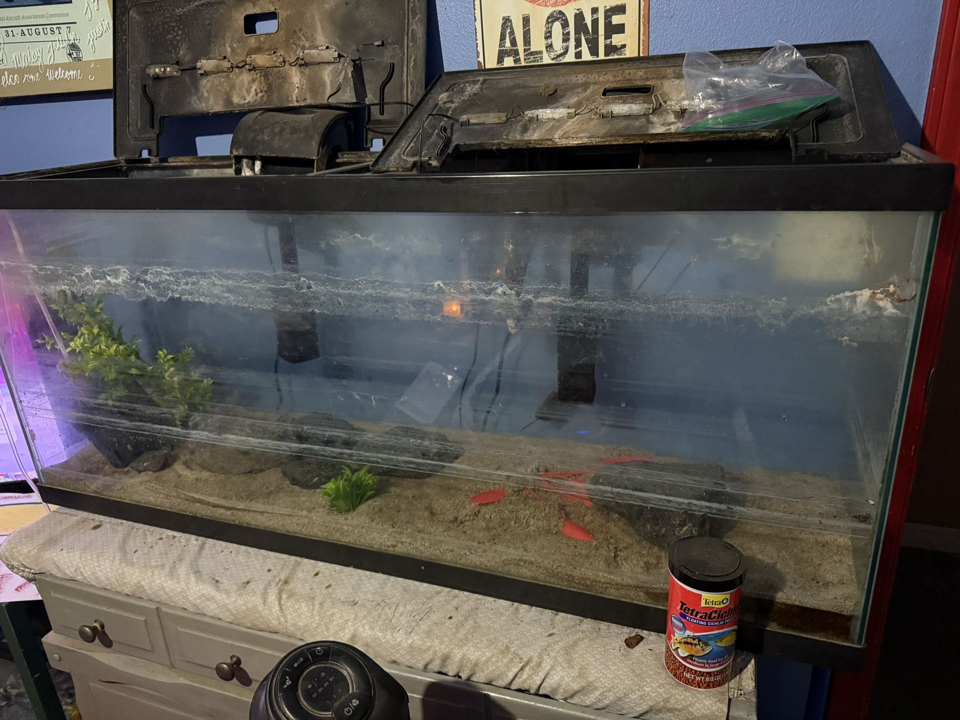 55 Gallon Fish Tank