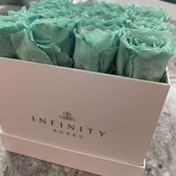 Infinity Roses in White Box Robbin Egg Blue/tiffany Color 