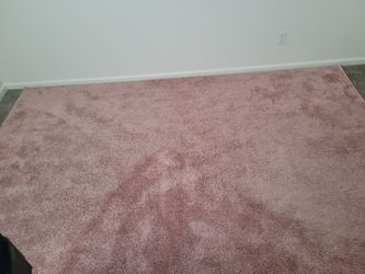 Large area rug