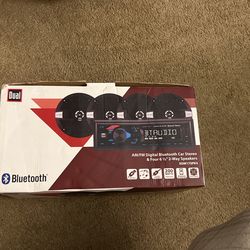 Bluetooth Speaker (Dual