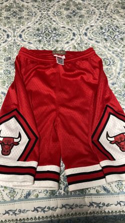 Chicago bulls