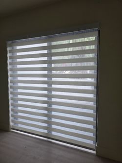Zebra nlind