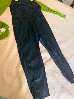 Adult Luigi costume (L) with hat
