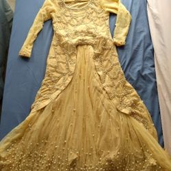 Beautiful Dress,Size Small Elegent Pearl Works ,Long Tail Dress