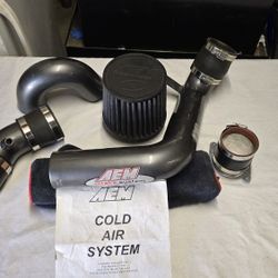 AEM Intake System