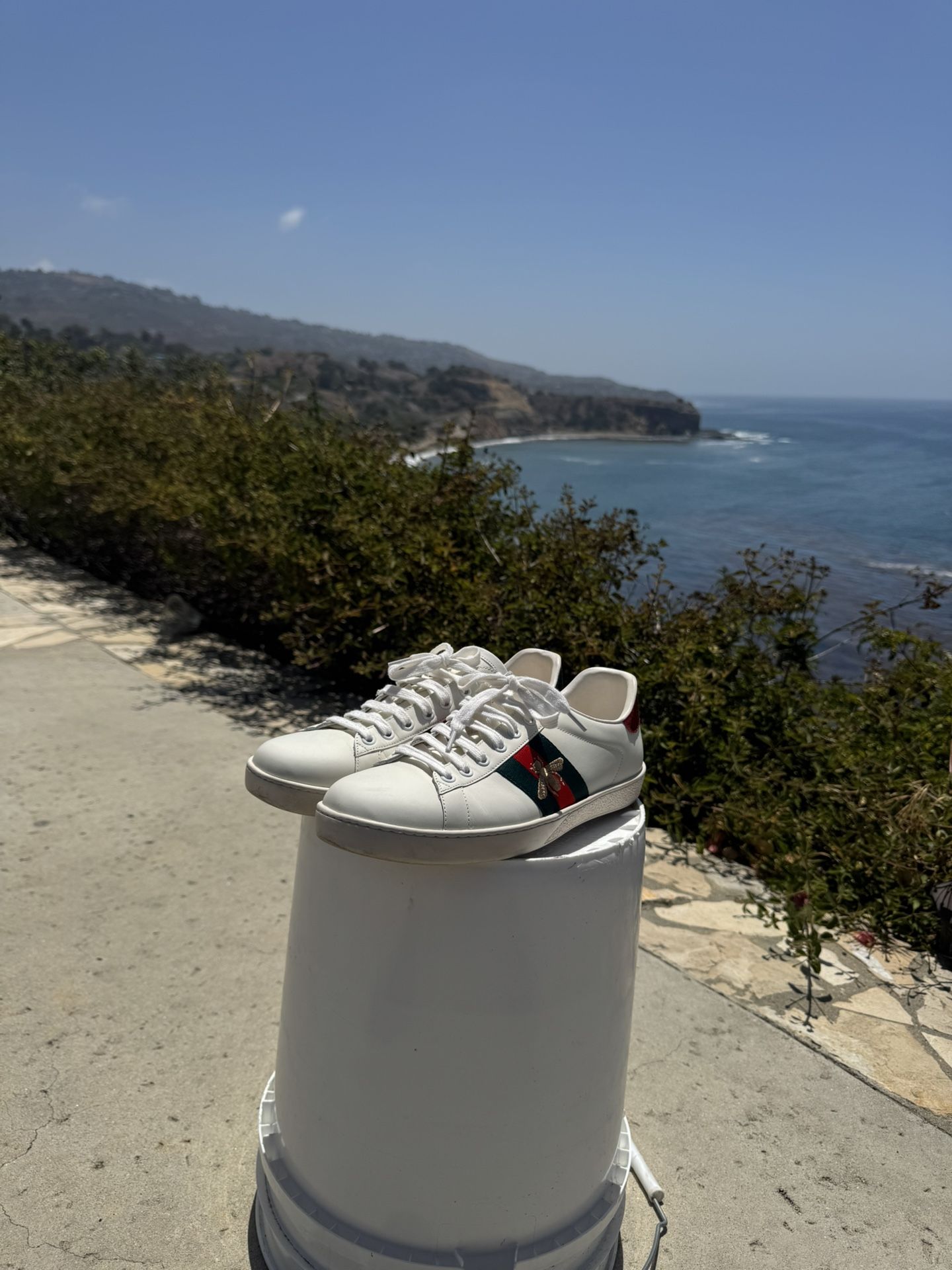 Gucci Ace