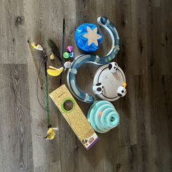 Cat toys/all this toys for $60