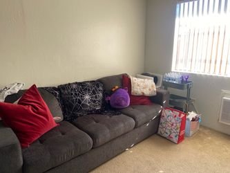 Barely used pullout couch
