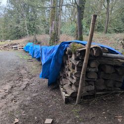 Seasoned Maple An Douglas Fir Fire Wood For Sale 