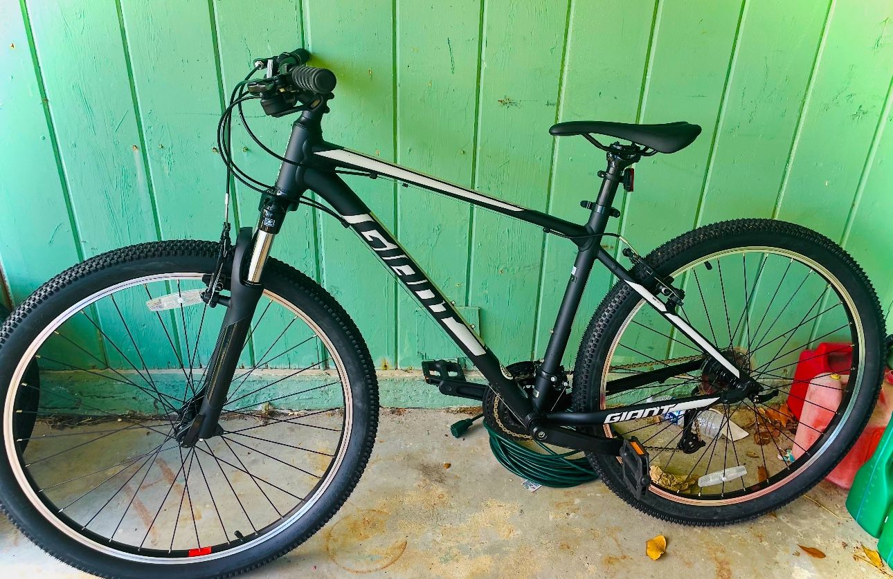 Giant Brand Bike