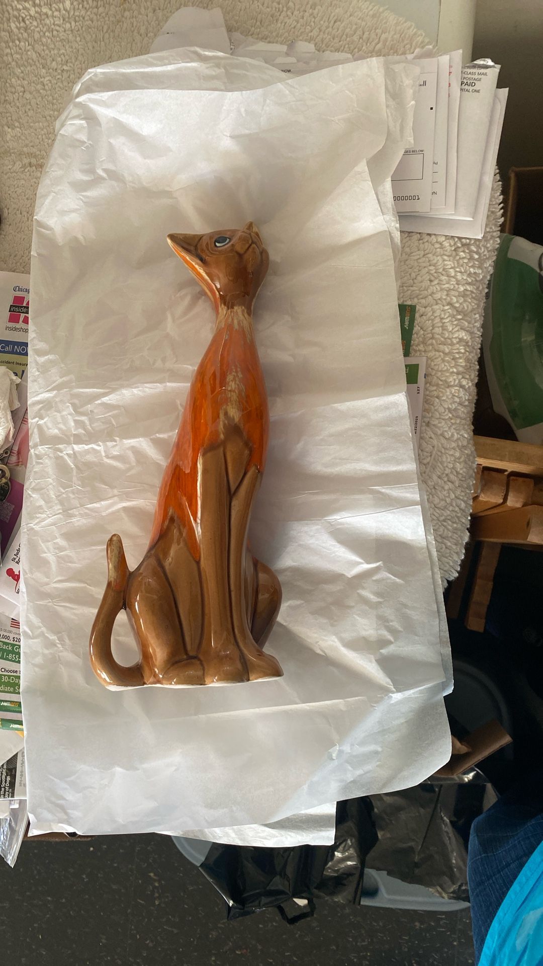 Orange And Brown Cat