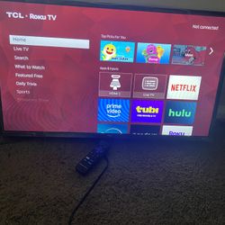 43 Inch Roku Tv