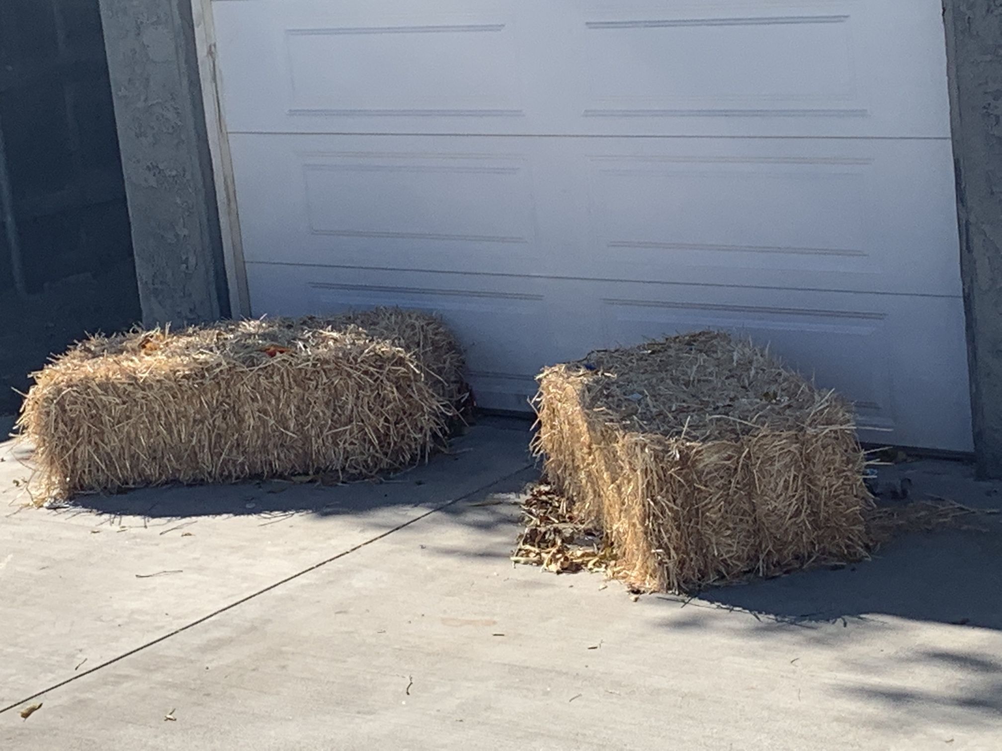 Free Hay