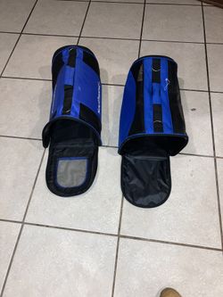2 Small Dog Travel Bags—Southwest! 