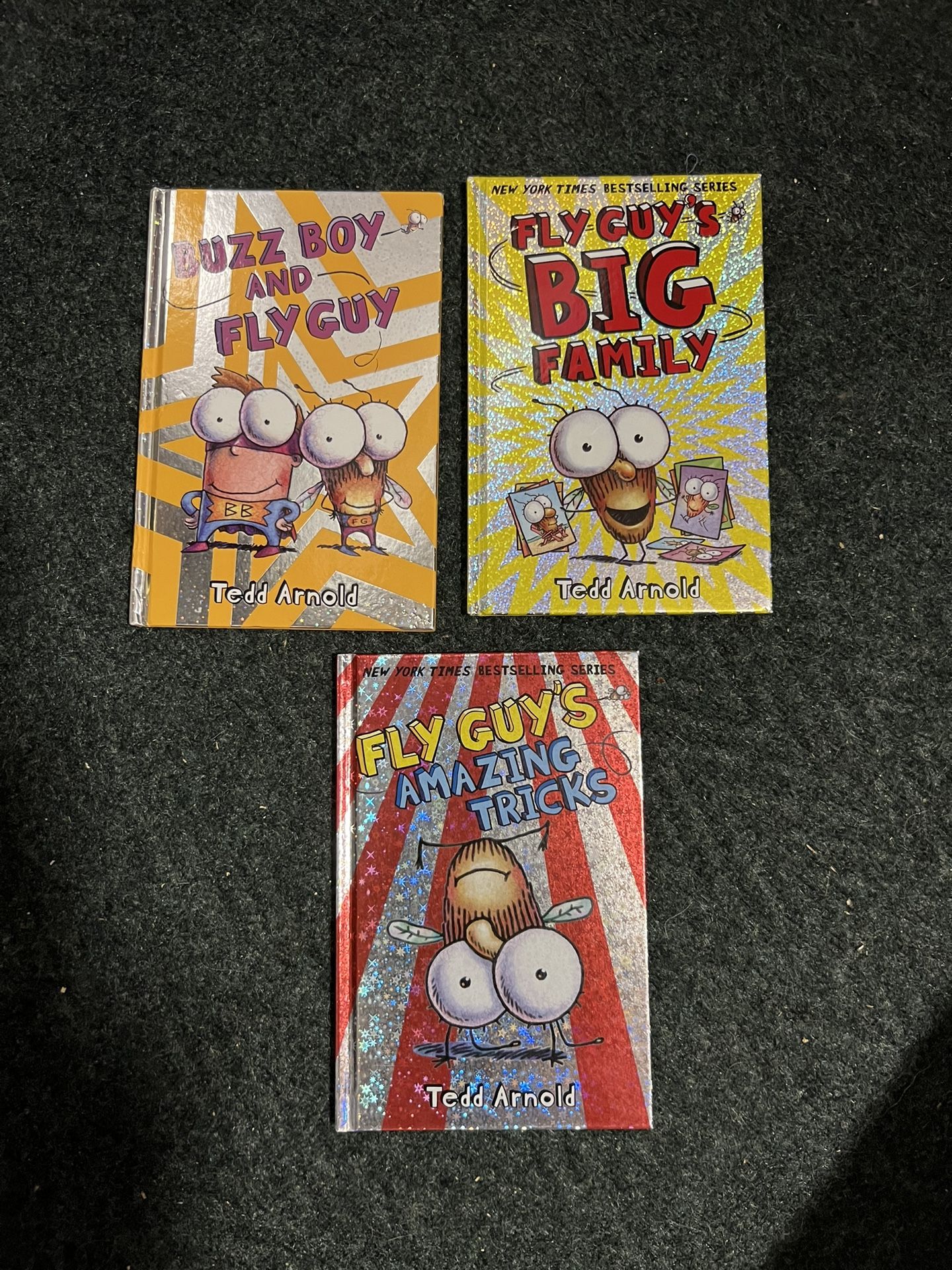Fly Guy Book Lot