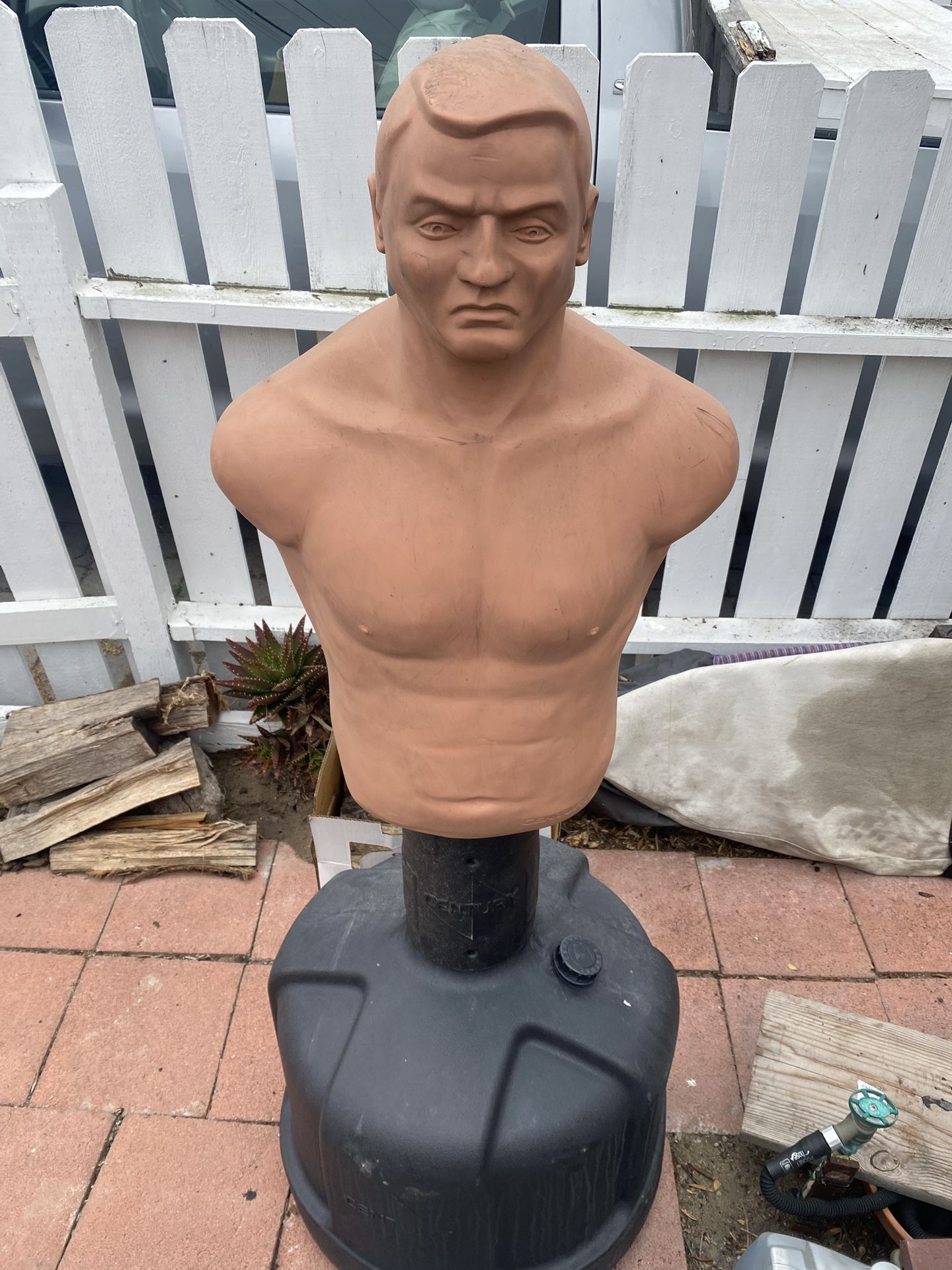 Century Bob Punching Bag