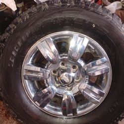 Stock Fords
