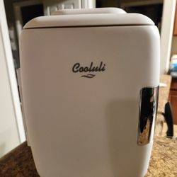 Mini Fridge With Cold And Warm