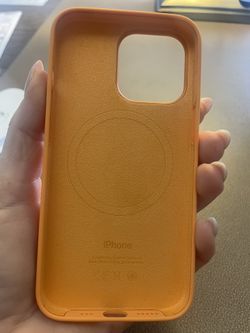 iPhone 13 Pro Case 