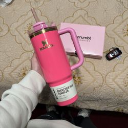 Stanley Pink Parade 30oz