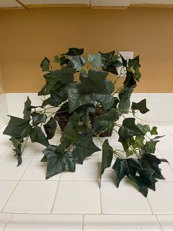 Artificial English Ivy with Ledge Basket Silk Plants. Around 21in x 14in. OBO