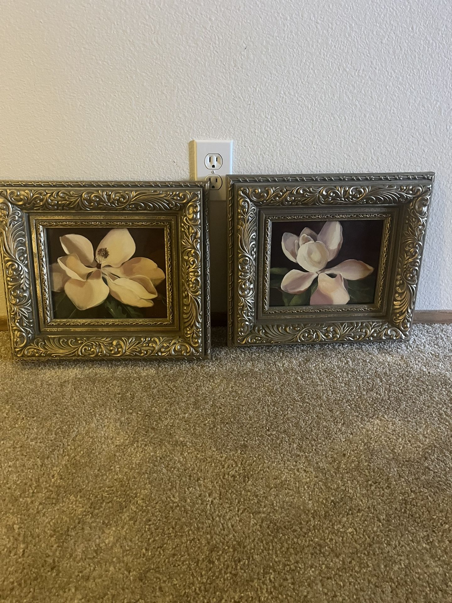 Cuadros De Magnolia