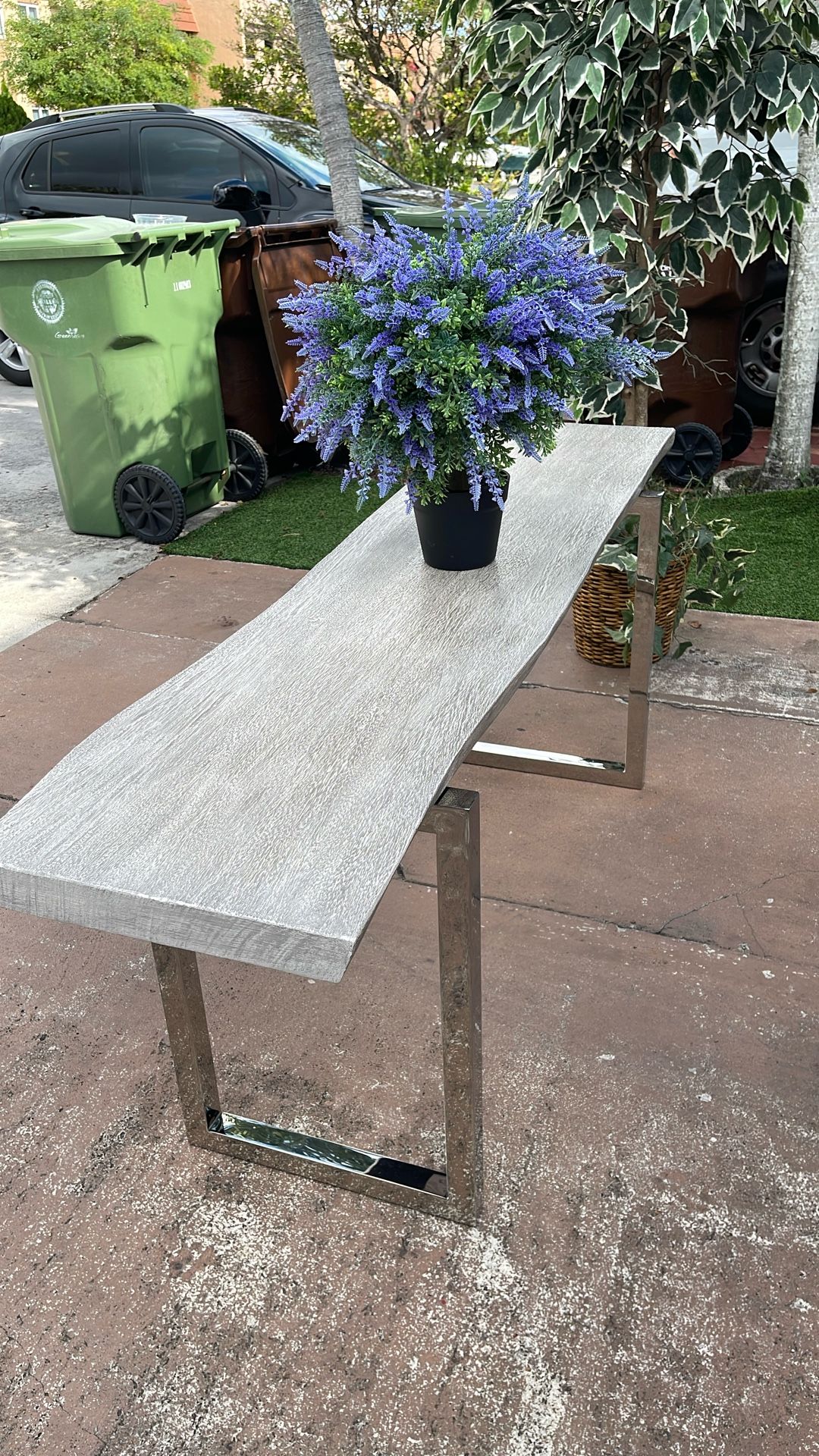 Wood πͺ΅ Top Table w/ Artificial Tree π³ $199 OBO