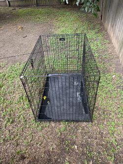 Dog Cage