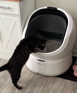 Petlibro Luma Litter Robot