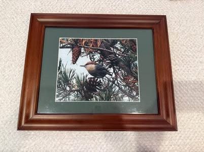 Framed Bird Photo