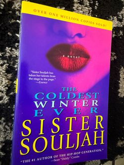 The coldest winter ever by sister souljah