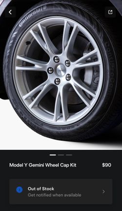 Model Y Gemini Wheel Cap Kit and Touch Up Paint