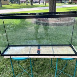50 Gallon Fish Tank