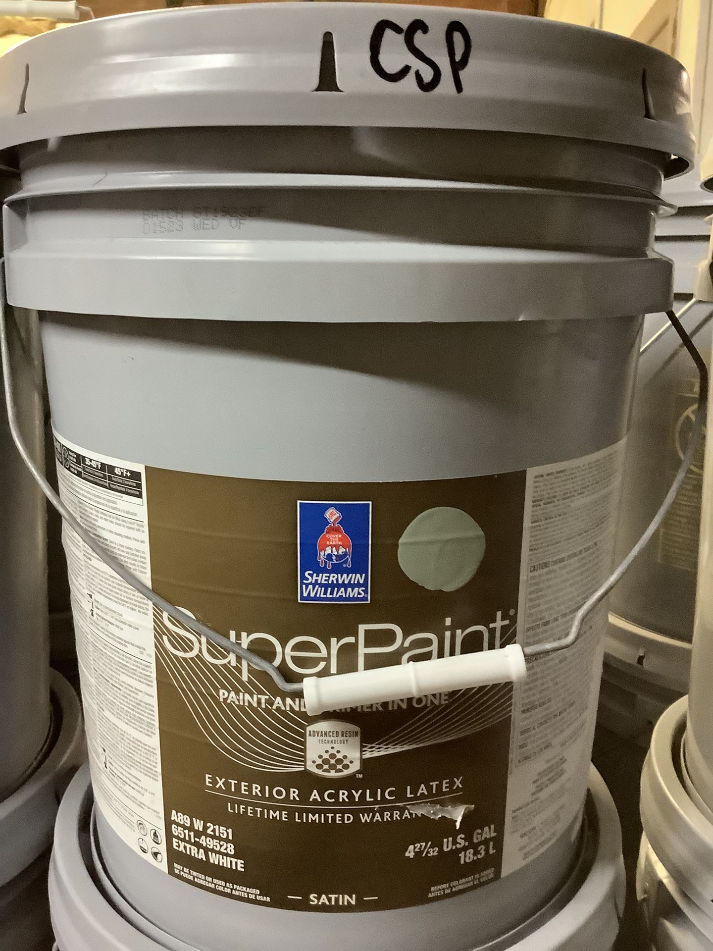 Exterior Super Paint + Primer (Coastal Plain)