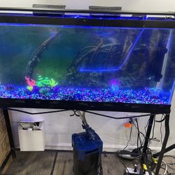 aquarium