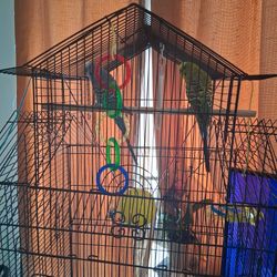 2parakeets With Cage