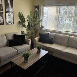 Sofa and Loveseat 