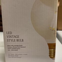 Brand New LED Vintage Style Light Bulb