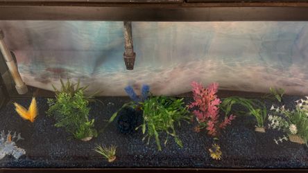 Fish tank