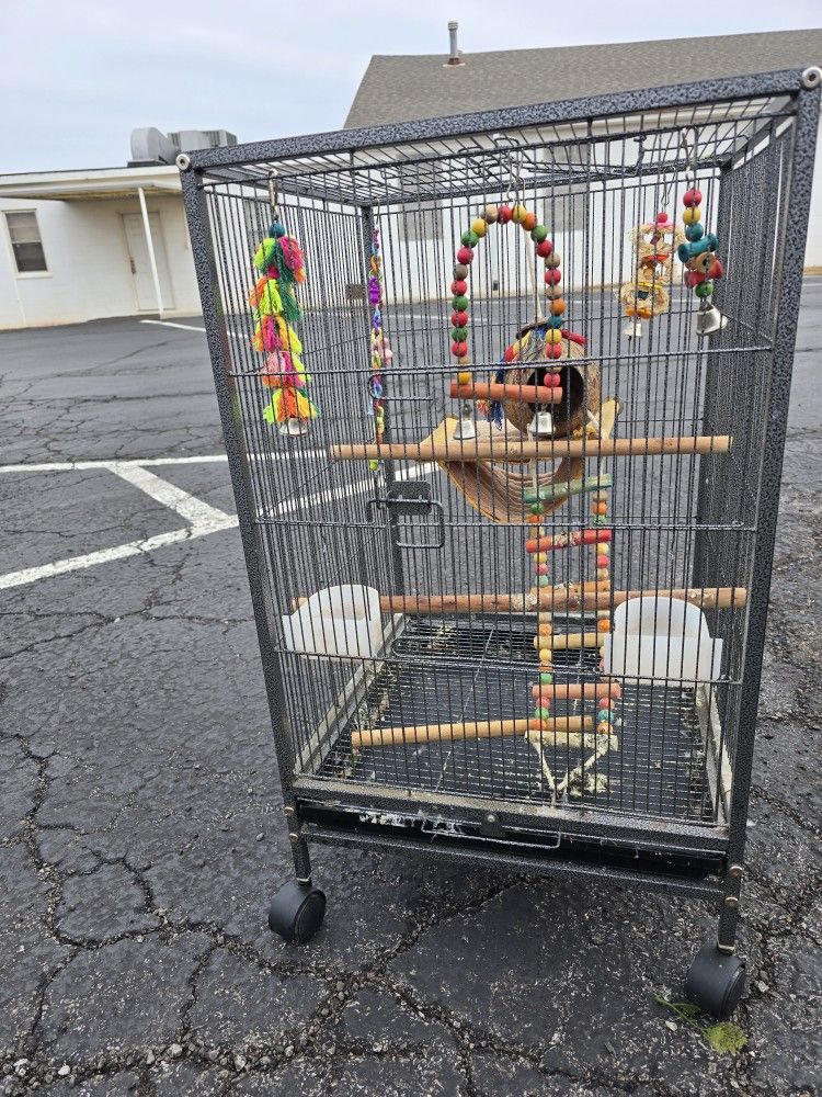 Bird Cage