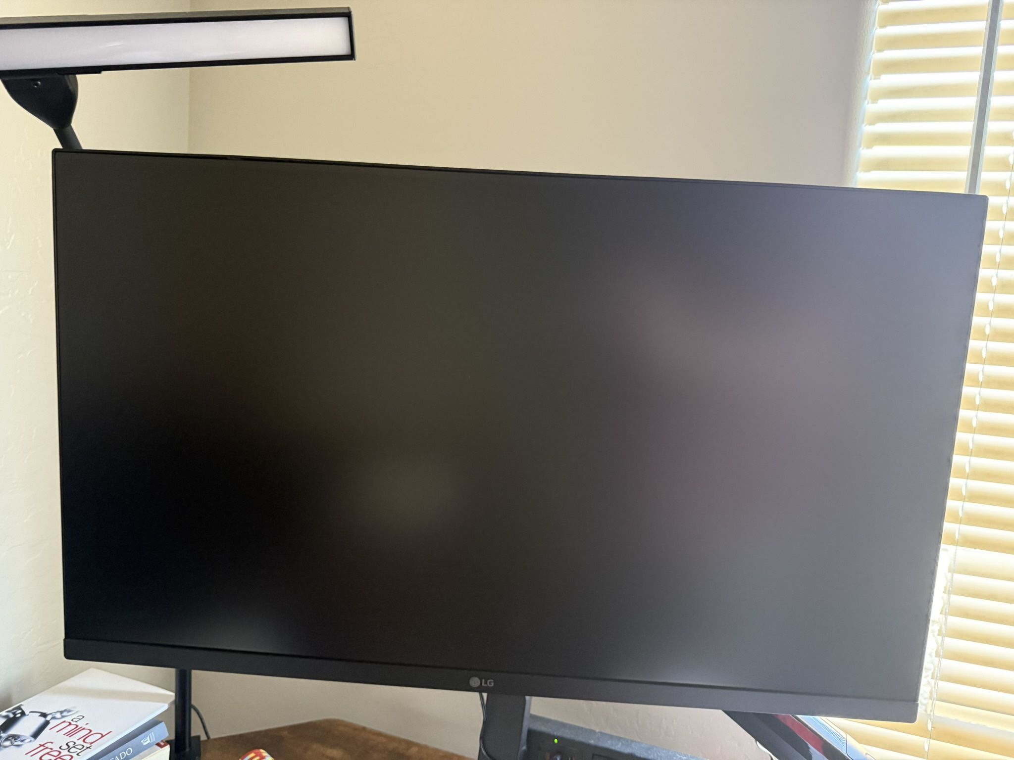 27” LG FHD Monitor